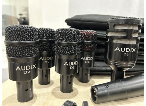 Audix D2