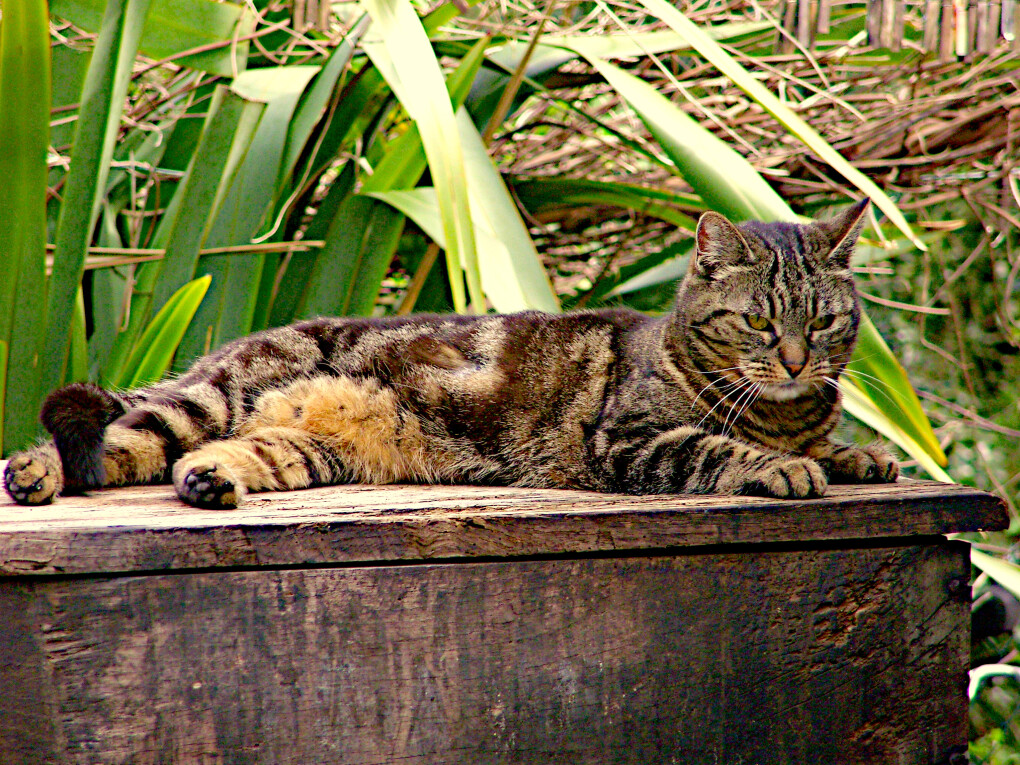 6051818.jpg 6051818.jpg