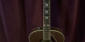 Fender électro acoustique Tim Armstrong