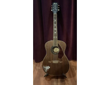Fender Artist Design Tim Armstrong Hellcat Acoustic (30064)