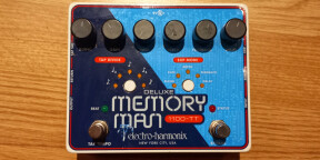 Vends MEMORY MAN Deluxe 1100-TT