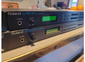 Roland D-110
