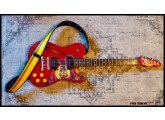 Fender Telecaster Jim Adkins - TBE