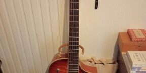 Ibanez Montage MSC380