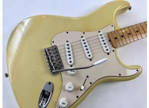 Fender Custom Shop '69 NOS Stratocaster (47691)