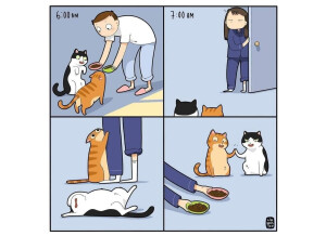 facebook 1712257066195 7181726661773232219