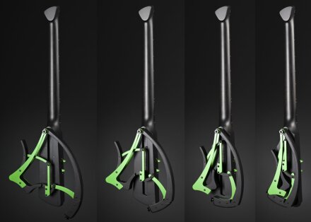 MantispaFold MantispaFold