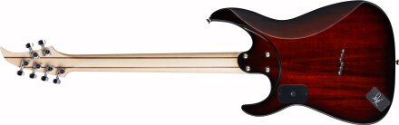 Dellinger-JSM-V2BACK Dellinger-JSM-V2BACK
