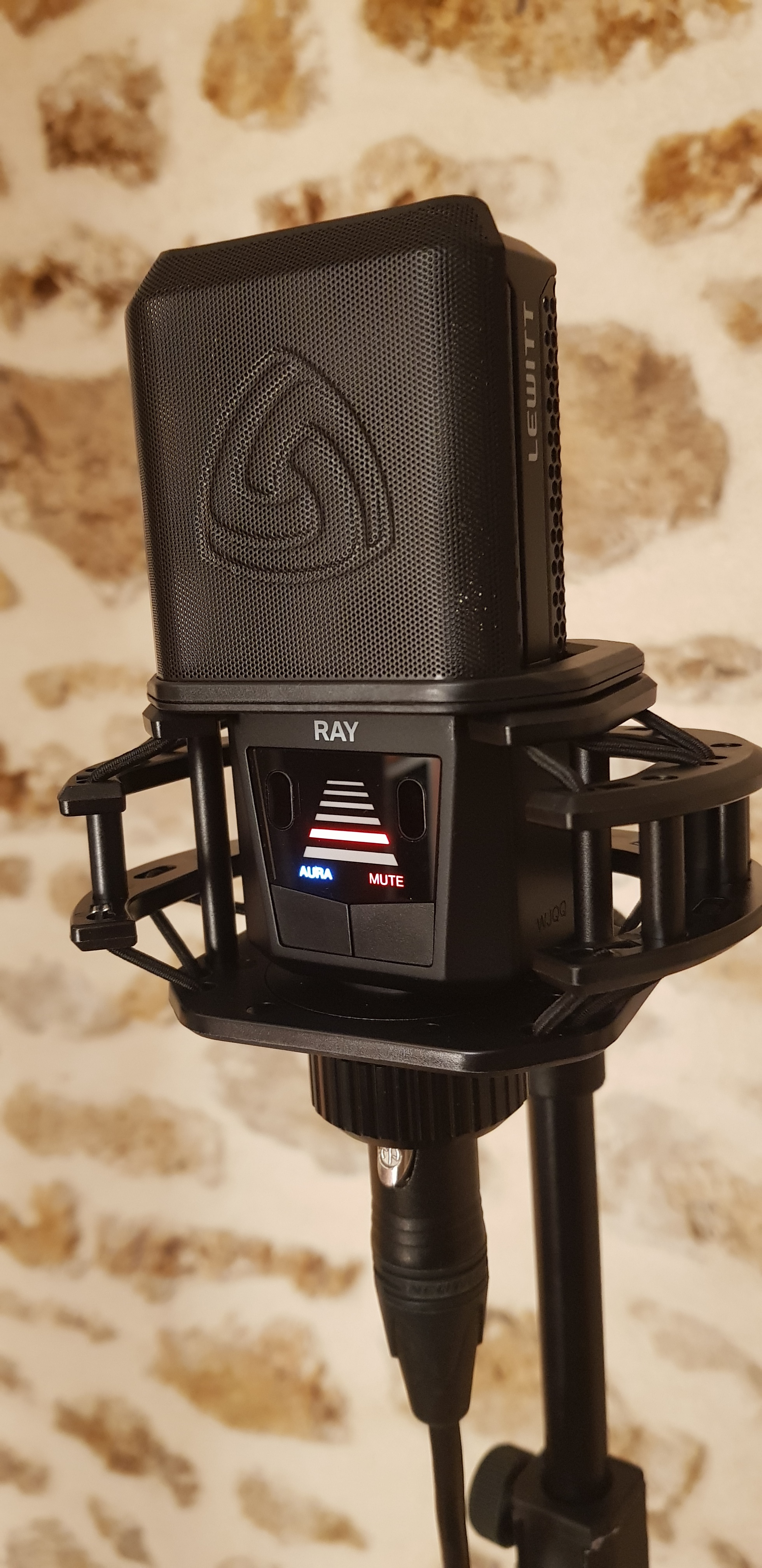 Lewitt Ray + Antipop