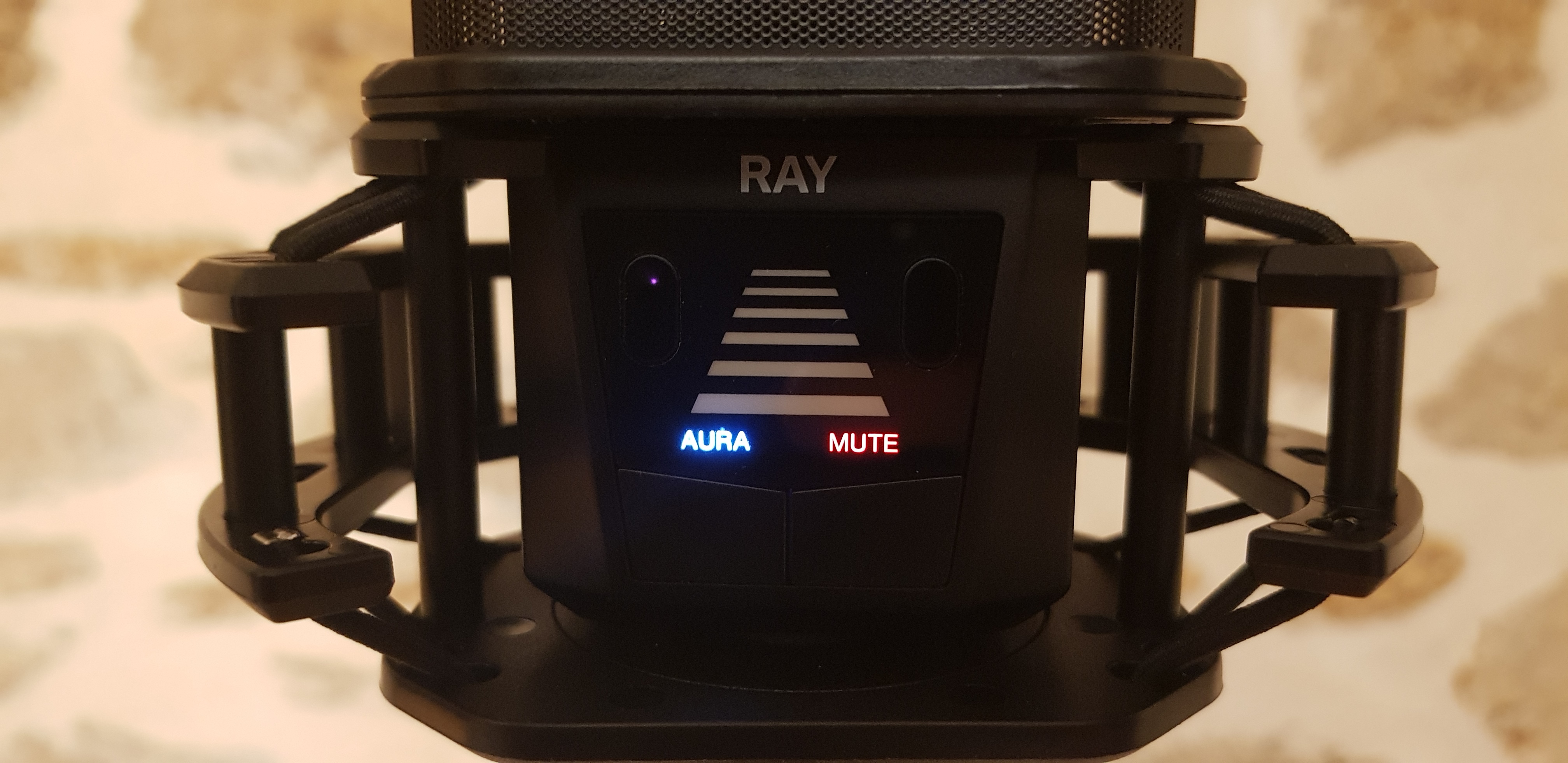 Lewitt Ray Laser