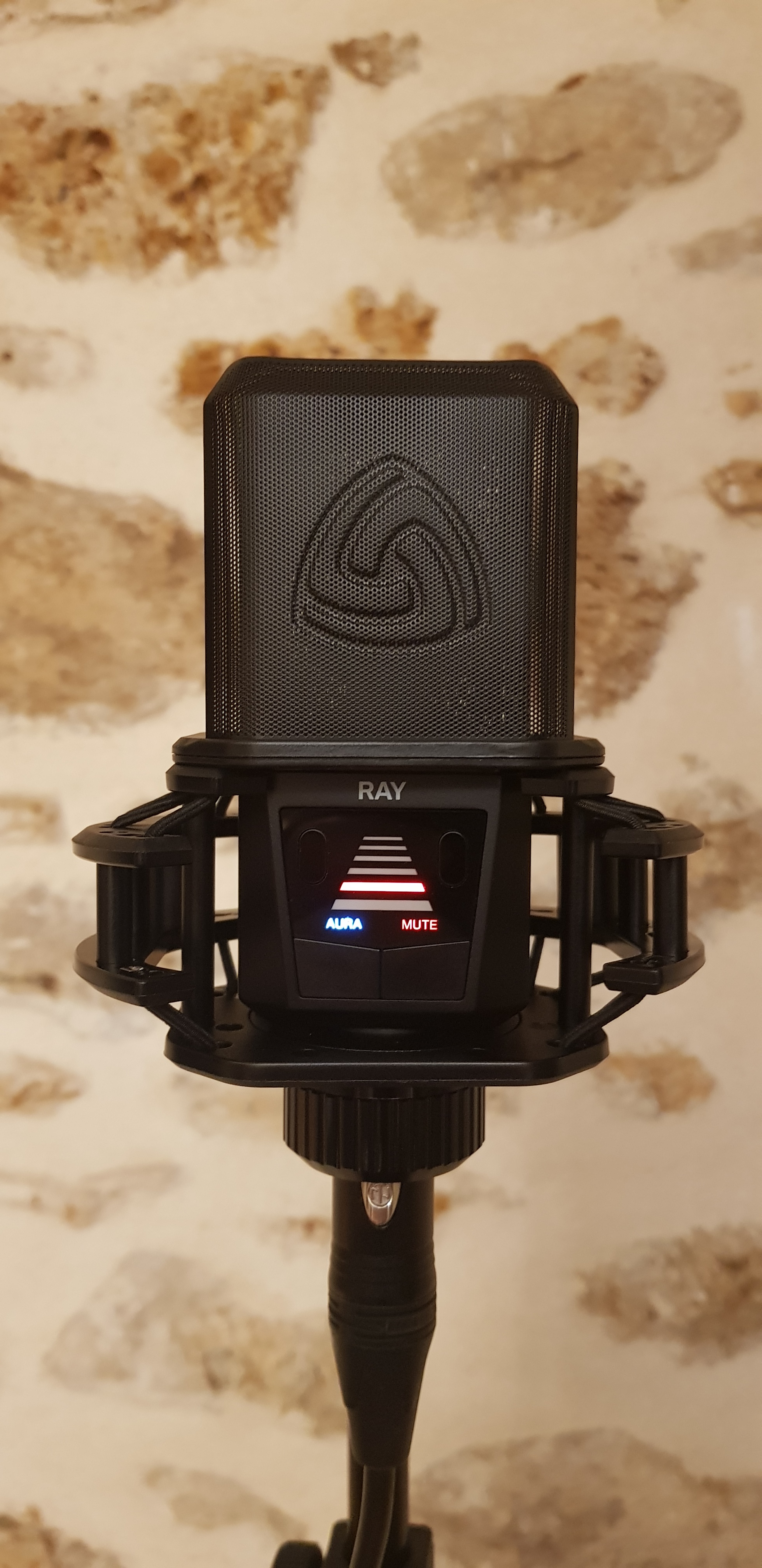 Lewitt Ray Portrait + Antipop Droit