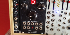 Erica  synths Black hole DSP
