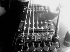 Peavey Predator Plus EXP Trem