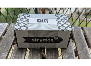 Strymon DIG