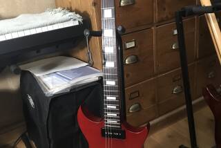 Gibson N-225