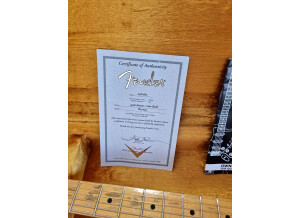 Fender Custom Shop '56 Relic Stratocaster (71480)