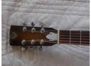 Gibson DM-33 (10293)