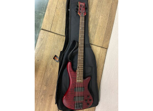 Schecter C-5 Deluxe