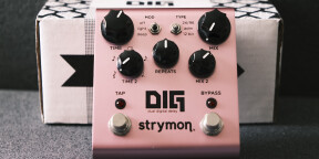 Strymon DIG V1