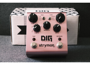 Strymon DIG (89255)