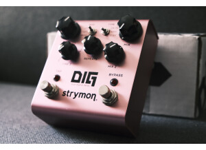 Strymon DIG