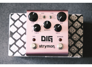 Strymon DIG (40927)
