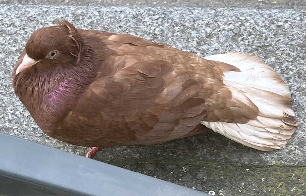 6057766.jpeg 6057766.jpeg