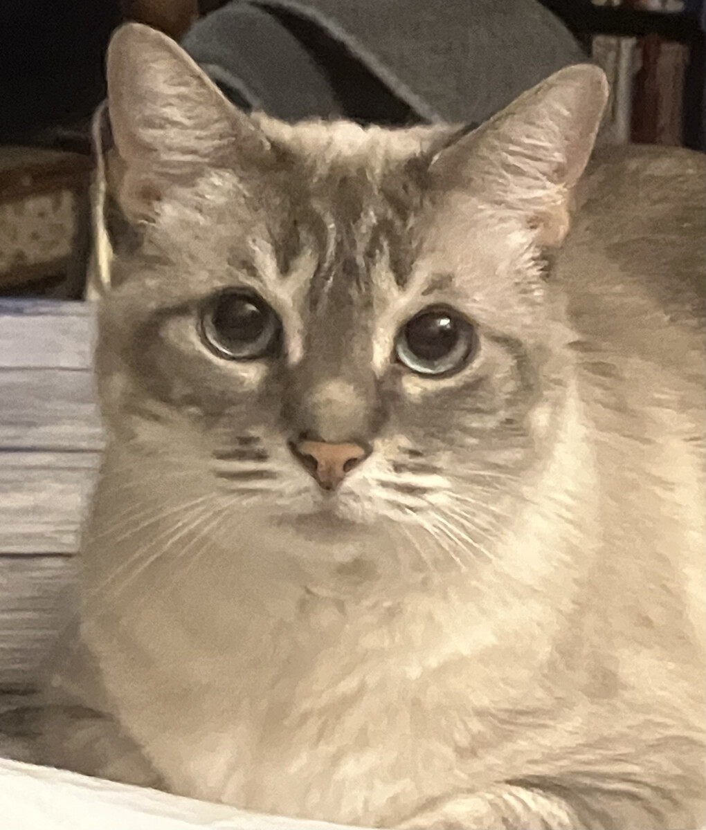 6057830.jpeg 6057830.jpeg