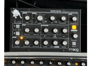 Moog Music Minitaur