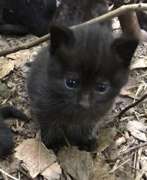 6058236.jpeg 6058236.jpeg