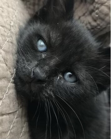 6058237.jpeg 6058237.jpeg