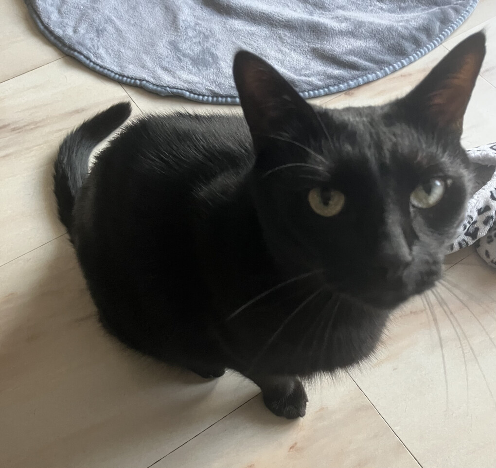 6058245.jpeg 6058245.jpeg