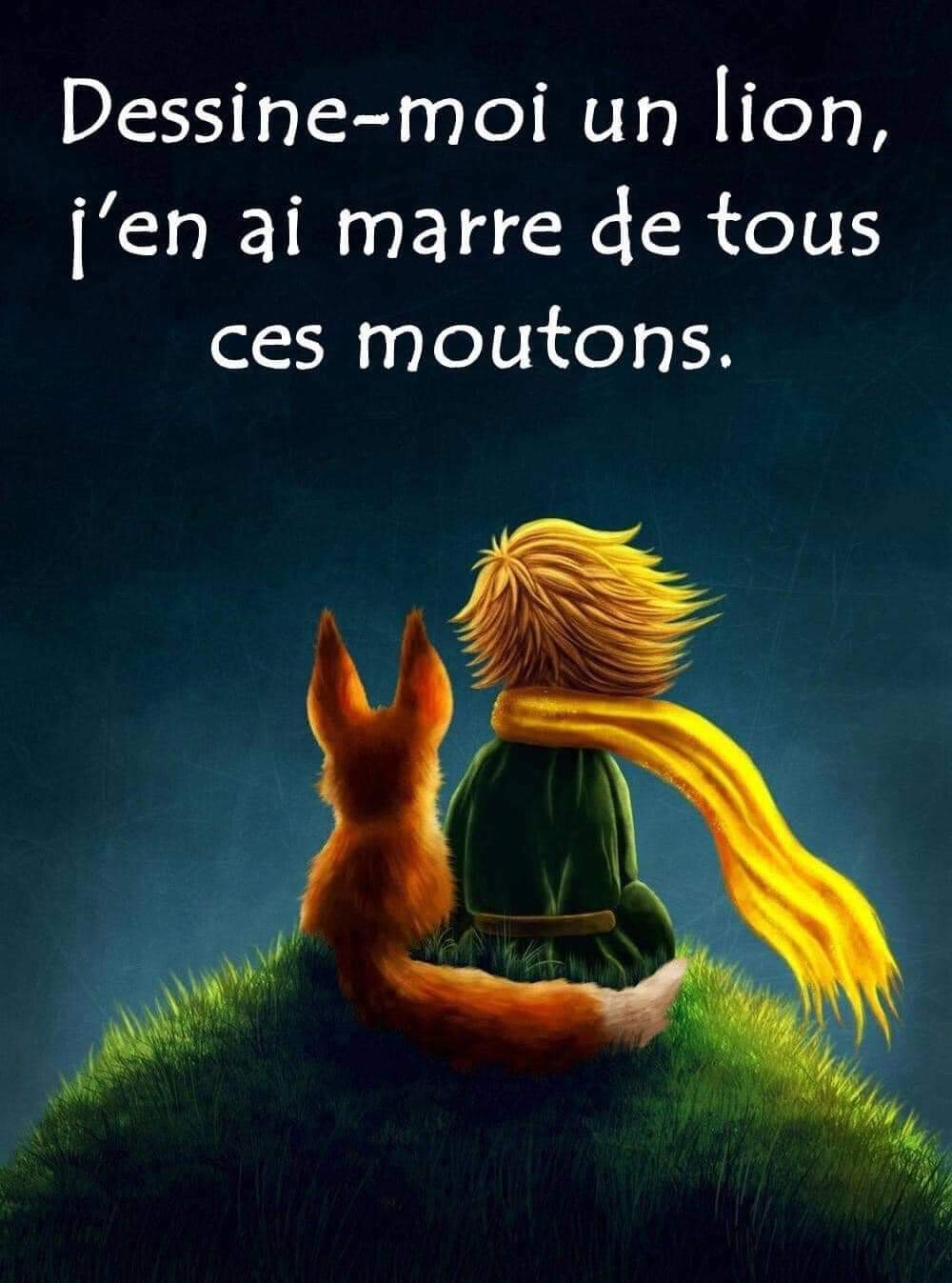 6058471.jpg 6058471.jpg