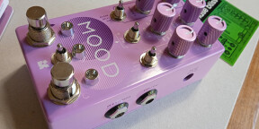 Vds Chase Bliss Audio Mood MKII