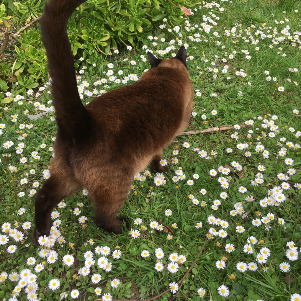 6058860.jpg 6058860.jpg