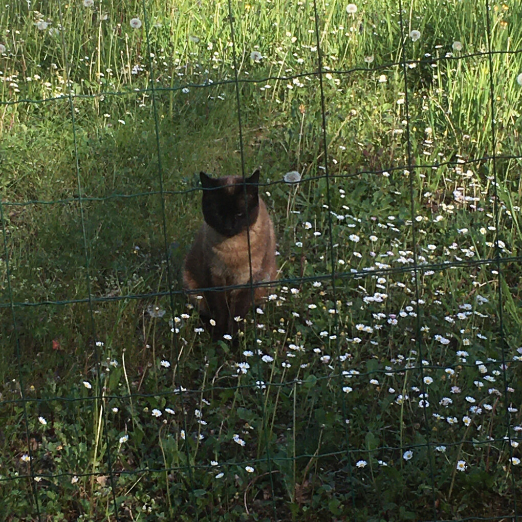 6058862.jpg 6058862.jpg