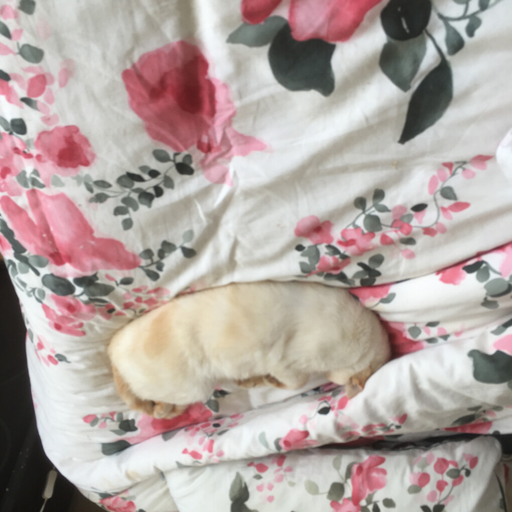 6058863.jpg 6058863.jpg