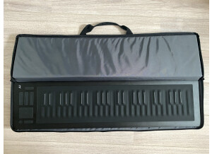 ROLI Seaboard Rise 49