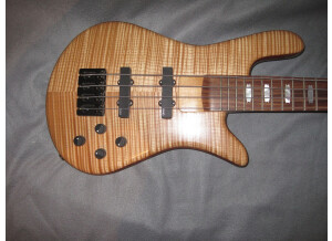 Spector NS-2J (6537)