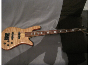 Spector NS-2J (75561)