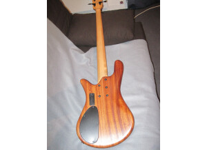 Spector NS-2J (18700)