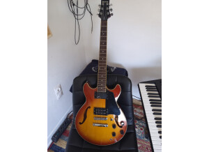 Ibanez AS50