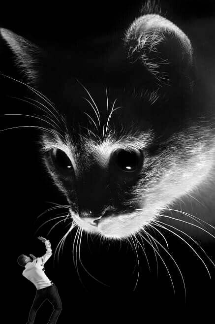 6060178.jpg 6060178.jpg