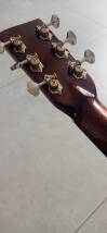 Recording King RD-318
