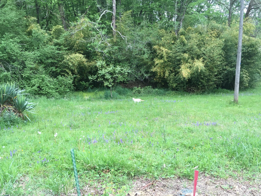 6060672.jpg 6060672.jpg