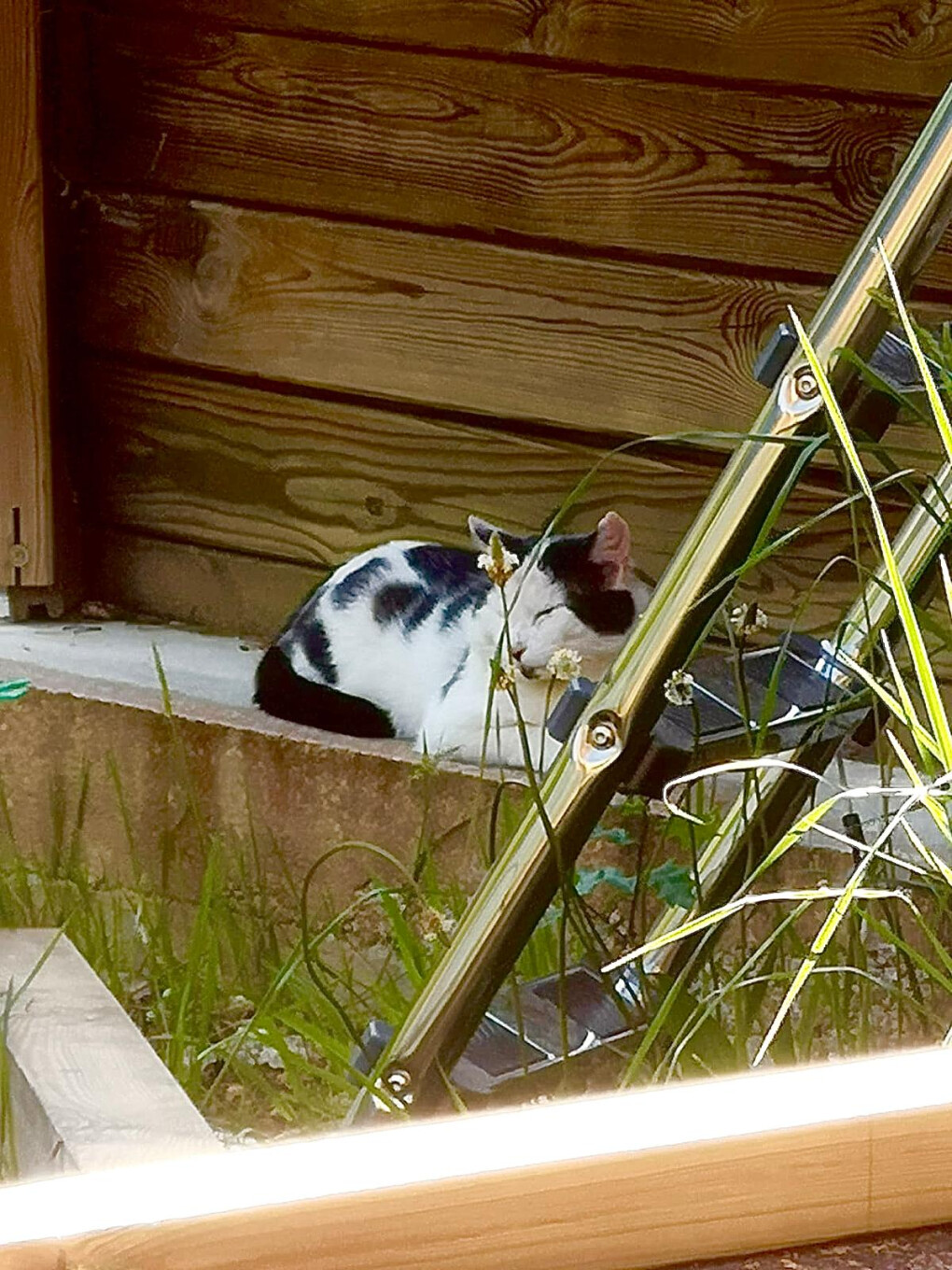 6060673.jpg 6060673.jpg