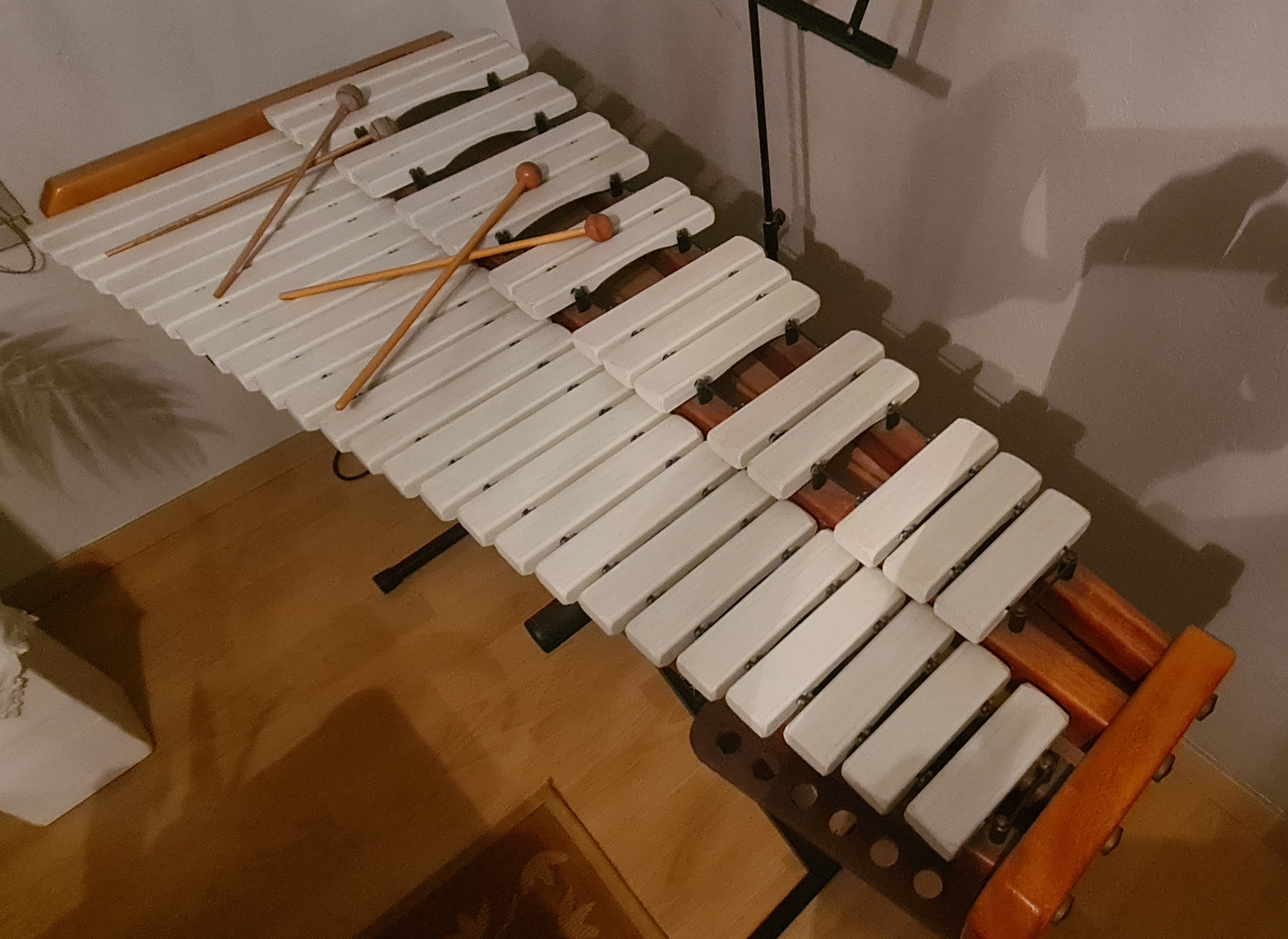 20240116 185614 resized