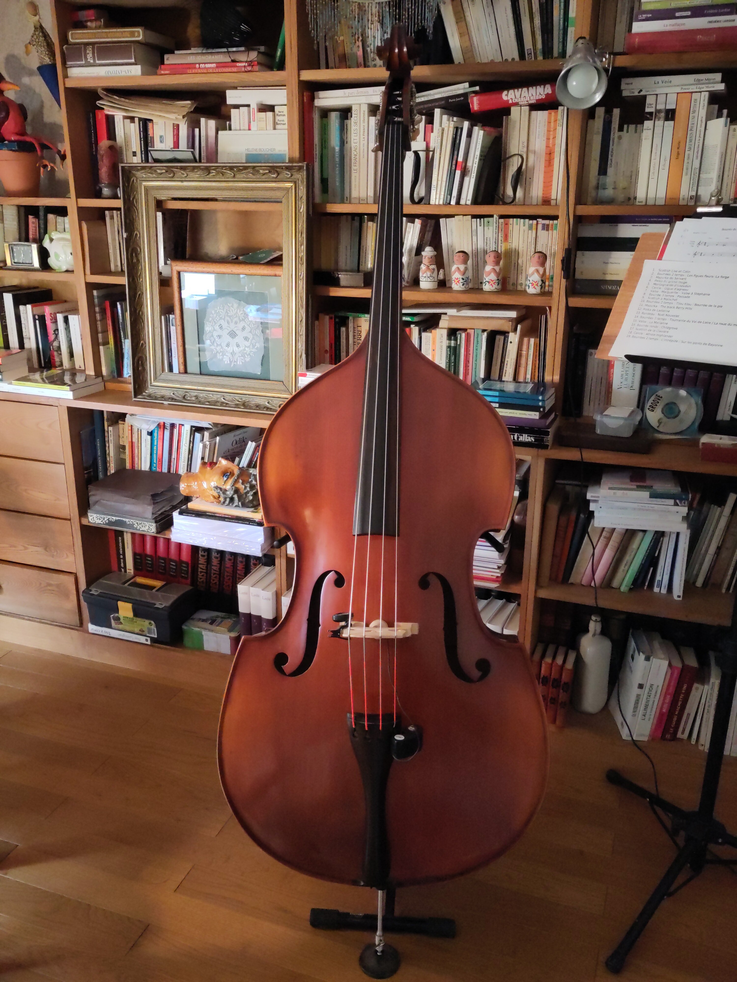 Contrebasse acoustique