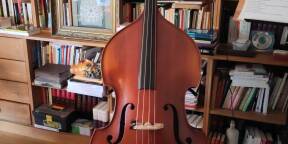 Contrebasse acoustique