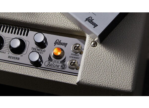 Dual Falcon 20PANEL3